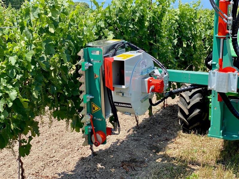 Clemens Leaf Remover