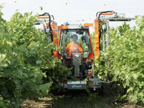 Rinieri Vineyard Pruners & Trimmers