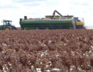 Photo 2. Oztec Grain Bin 30T