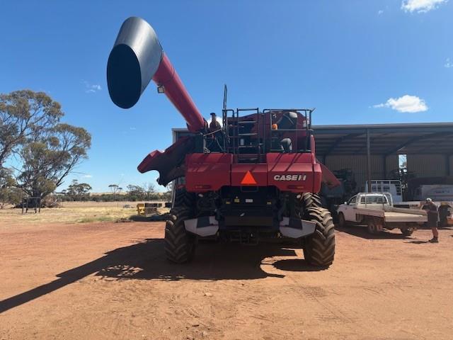 Photo 3. Case IH 8230D combine harvester