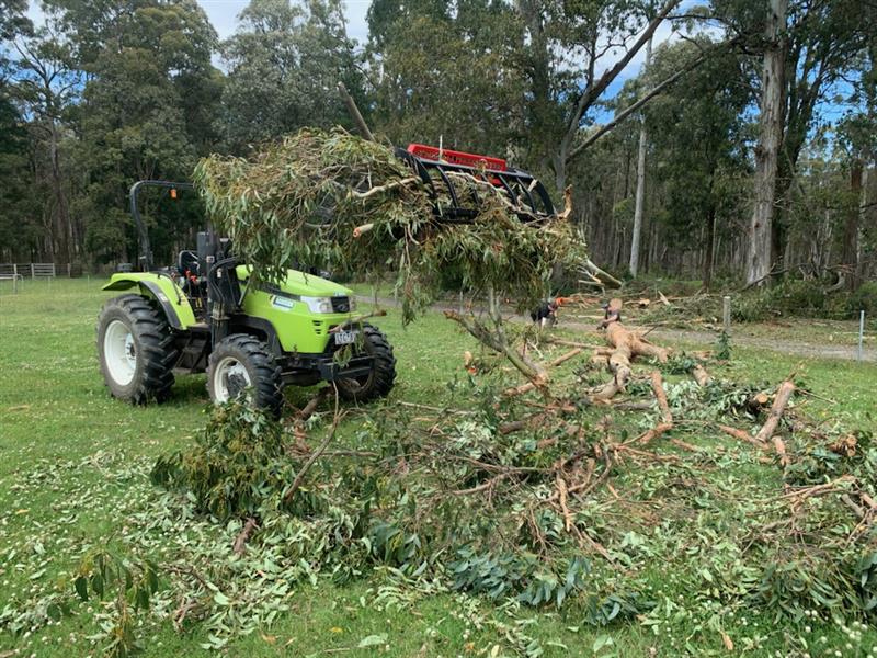 Photo 3. Rata Mid Range Power Claw