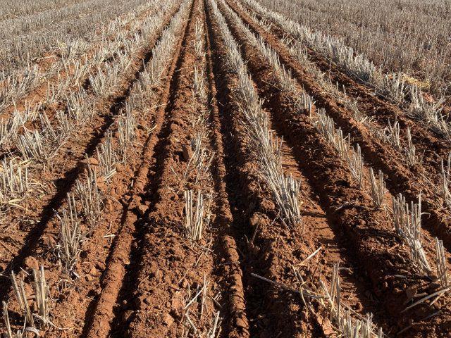 Photo 4. Pillar Laser DH 50 width airseeder